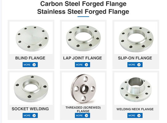 Pn6-100 Forged Stainless Steel Flanges Neck Welded Duplex Steel Flanges National Standard